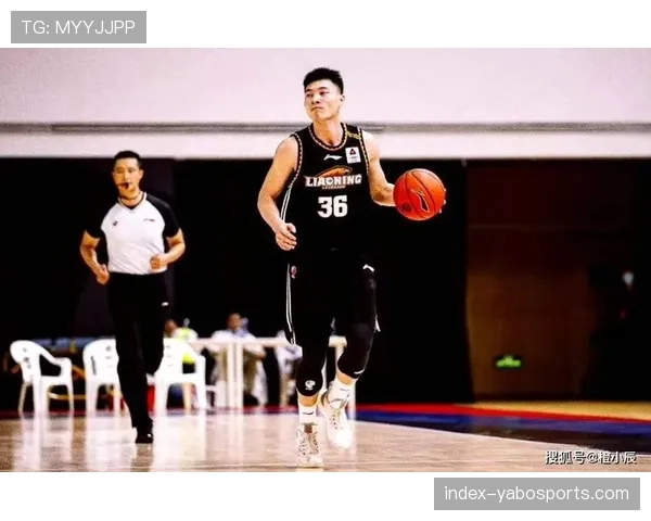 鄢手骐三分11中5贡献17分 正负值+30展现顶级3D价值